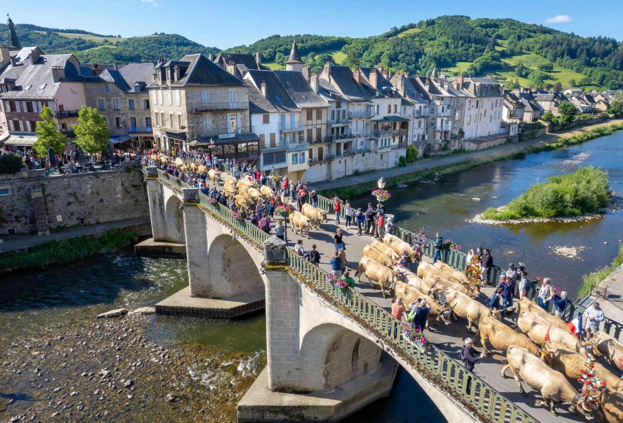 Riverrun Saint-Geniez-d'Olt Ngoại thất bức ảnh