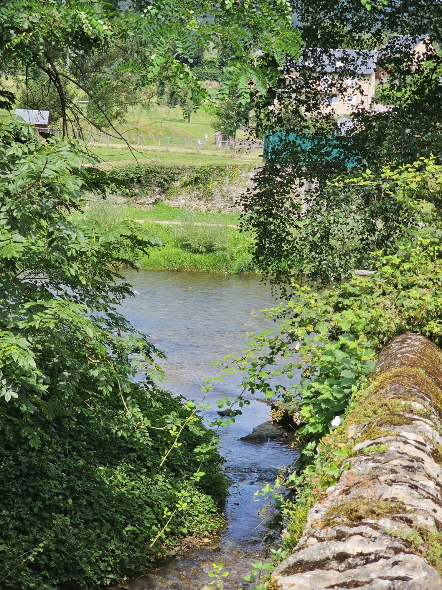 Riverrun Saint-Geniez-d'Olt Ngoại thất bức ảnh